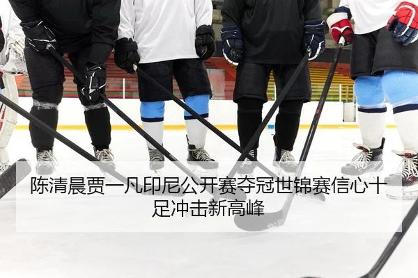 陈清晨贾一凡印尼公开赛夺冠世锦赛信心十足冲击新高峰